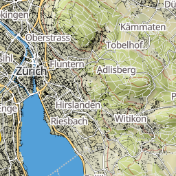 rooot_outdoor preview