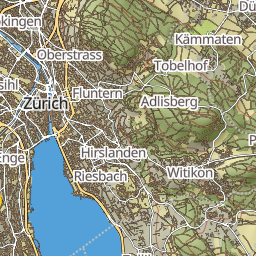 rooot_outdoor preview