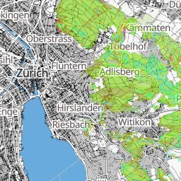 swissy_v2_woodies preview